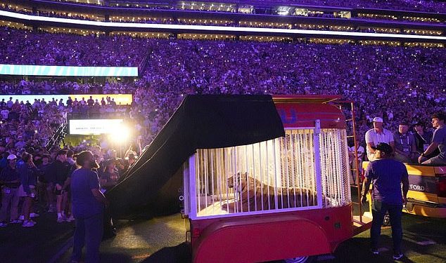 Šokantan trenutak LSU dovodi tigra na teren u ‘okrutnom i opasnom’ triku prije utakmice Alabame