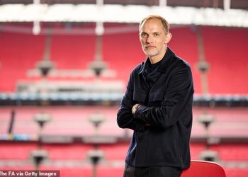 Sudar Engleske s Grčkom JE važan jer oni traže prednost kvalifikacija za Svjetsko prvenstvo, pa zašto Thomas Tuchel nije ovdje? Pita IAN LADYMAN