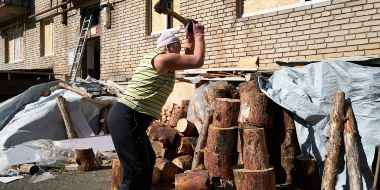 Ukrajina će zatvarati ljude zbog skladištenja drva za ogrjev – mediji — RT Rusija i bivši Sovjetski Savez