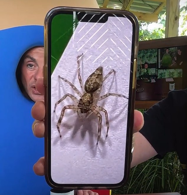 Dec je zatim podijelio sliku pauka koji ga je ugrizao - priznajući da je skočio na njegov scenarij prije nego što ga je ugrizao za vrat