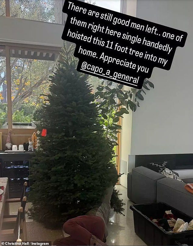 Ranije ovog tjedna objavila je njegovu snimku kako joj pomaže postaviti njezino ogromno božićno drvce kod kuće i rekla: 'Još uvijek ima dobrih ljudi..'