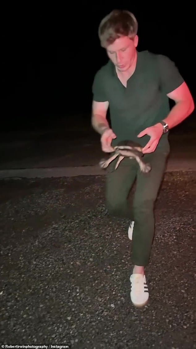 The Wildlife Warrior, 21, na Instagramu je podijelio priču o spašavanju slatkovodne kornjače koja je zapela na autocesti. Noseći zelenu mrežastu pletenu majicu s kratkim rukavima, njegovi bicepsi i mišićave podlaktice bili su istaknuti