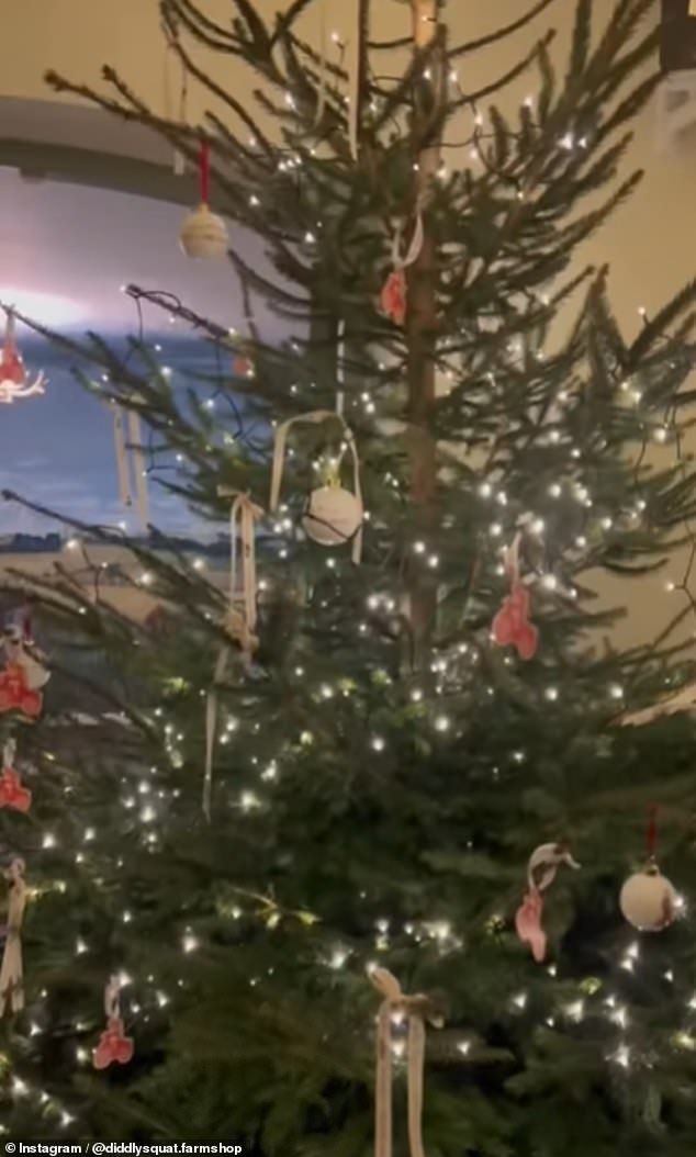 Predstavljajući drvce i posebno jedan ukras, dodala je: 'Ovo je naše božićno drvce Diddly Squat'