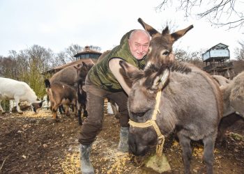 ALEKSANDAR GRGIĆ: ‘Želimo naše hrvatske magarce vratiti na mjesto koje i zaslužuju’ | NACIONAL.HR