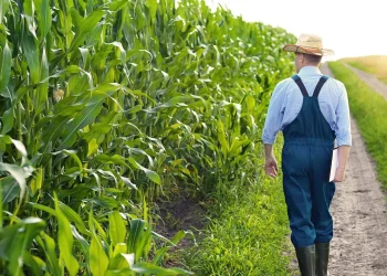 Američka poljoprivreda trebala bi biti sljedeća granica kibernetičke sigurnosti u novoj godini, kažu stručnjaci i zakonodavci