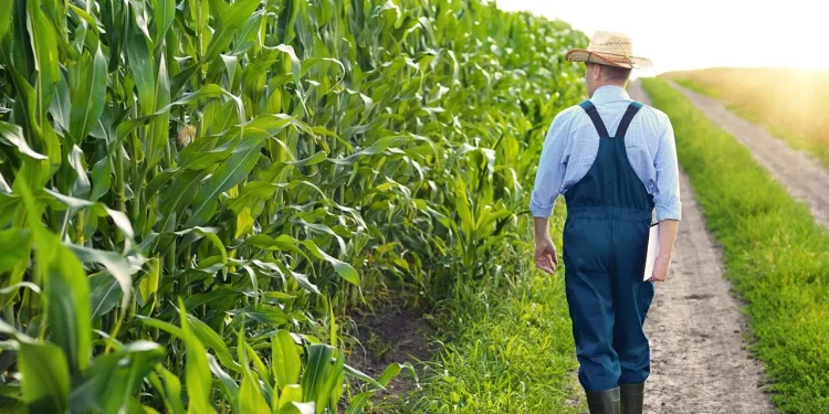 Američka poljoprivreda trebala bi biti sljedeća granica kibernetičke sigurnosti u novoj godini, kažu stručnjaci i zakonodavci