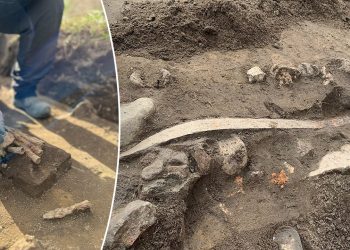 Arheolozi u Danskoj otkrili su ono za što sugeriraju da je žrtveno oružje tijekom rutinskih iskapanja