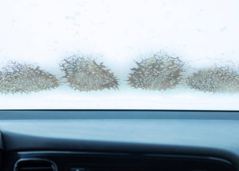 Auto Klub – S pomoću namirnica i stvari koje imate u kući: Trikovi koji će vaš vjetrobran zauvijek odmagliti