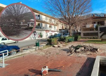 Bura je u četvrtak “nosila” i stabla u Žrnovnici. Danas se počelo sa saniranjem štete
