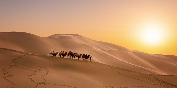 Cijena Bitcoina (BTC) pada jer je američka vlada prebacila gotovo 2 milijarde dolara na Silk Road Bitcoin