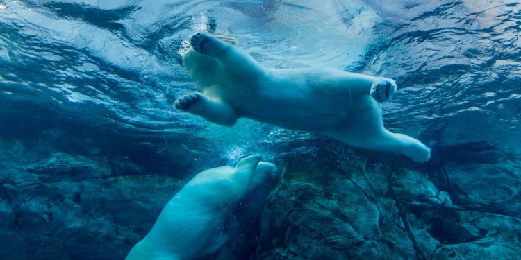 Cijena Bitcoina (BTC) pala 5% na 95 tisuća USD; Cijena etera (ETH) pala za 10%.