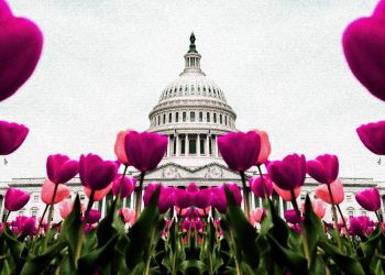 Cijena Bitcoina (BTC) raste nakon snažnih podataka o zapošljavanju u SAD-u