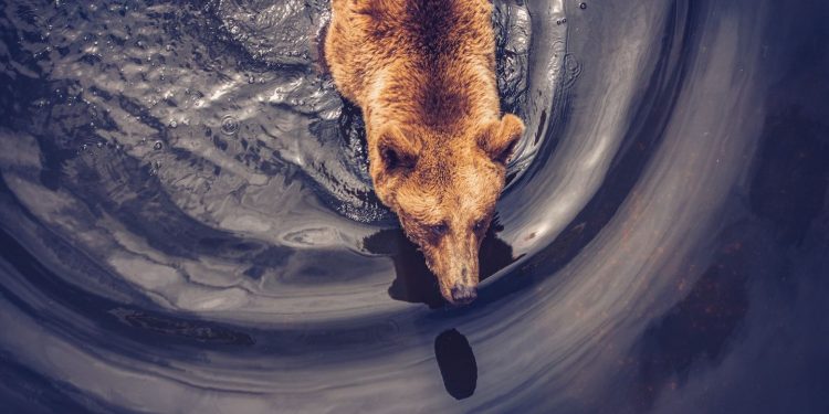 Cijena bitcoina (BTC) pala je na 92 ​​000 dolara dok dugoročni vlasnici nastavljaju bilježiti profit