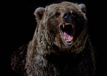 Cijena bitcoina (BTC) ponovno pada na 95 tisuća dolara nakon neuspjelog odbijanja kriptovalute