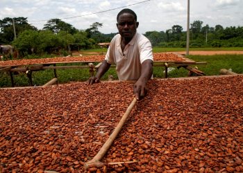Cijena sirovine potrebne za omiljenu slasticu obara rekorde. Stručnjaci upozoravaju na volatilnost tržišta