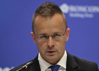 Država EU obećava da će staviti veto na sankcije Gruziji — RT World News