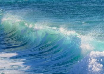 FOMO trgovci, oprez, akcijska cijena BTC-a ‘High-Wave’ ukazuje na zabunu