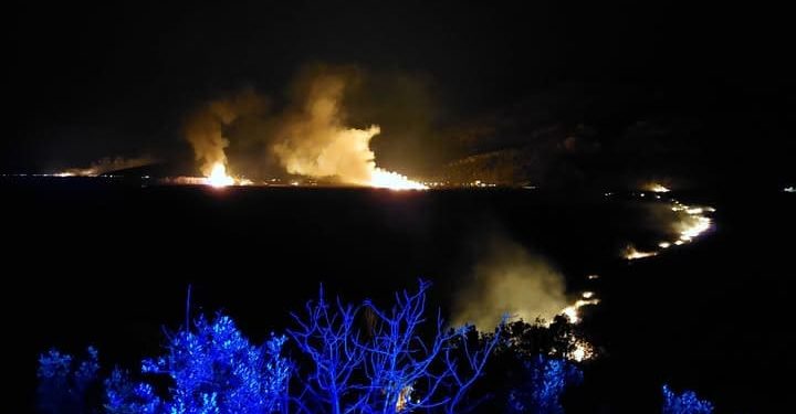 I dalje gori u delti Neretve, nestalo stotine hektara močvare. Vatrogasci se bore s vjetrom