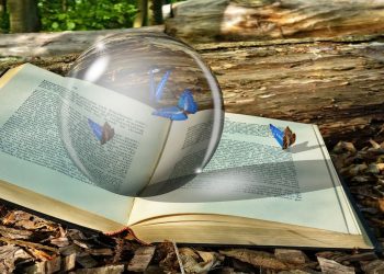 Investicijski savjetnici nadmašit će hedge fondove kao najveće držatelje Bitcoin (BTC) ETF-ova sljedeće godine: CF referentne vrijednosti