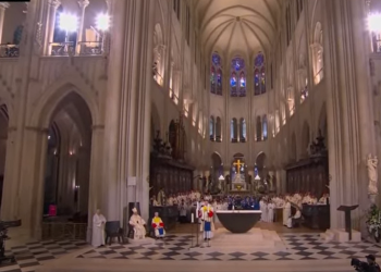 Majstor koji je radio na obnovi katedrale Notre Dame svjedoči: ‘Bilo je nevjerojatno’