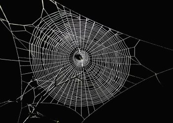 Misija Botanix Labsa da prenese Bitcoin na Defi prelazi u završnu fazu testneta