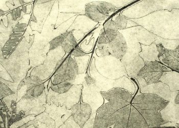 Mladi izlažu u Zoni: Priča Stelle Perica i njene povezanosti s prirodom