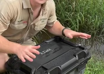 Obožavatelji su ostali zbunjeni bizarnim detaljima u najnovijem videu Roberta Irwina koji pronalazi užasno iznenađenje u svom domu