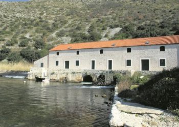 Onečišćen izvor dalmatinske rijeke, sumnja se da je uzrok nepropisna proizvodnja maslinovog ulja