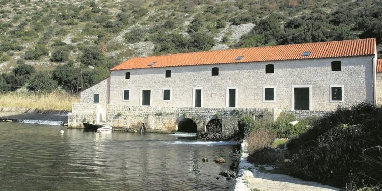 Onečišćen izvor dalmatinske rijeke, sumnja se da je uzrok nepropisna proizvodnja maslinovog ulja