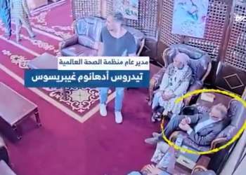 POGLEDAJTE TKO je šef zdravstvene organizacije izbjegao izraelski zračni napad — RT World News