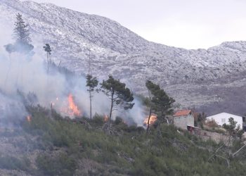 GORI BOROVINA Izbio požar u Žrnovnici, zbog vjetra se jako brzo širi | NACIONAL.HR