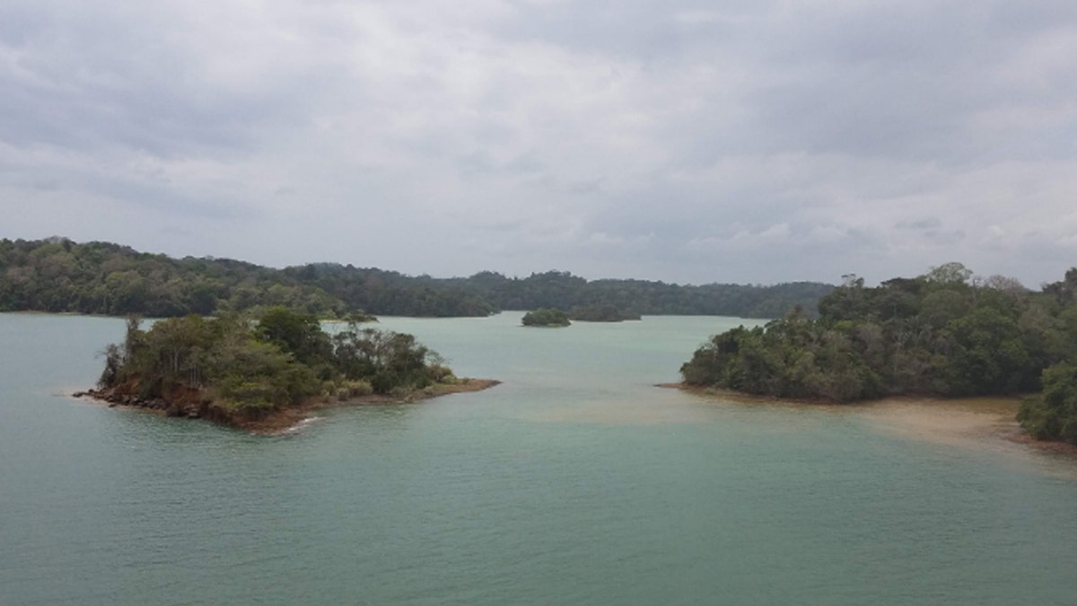 Slikovito jezero Gatun, Panamski kanal.