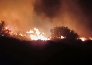 Požar na Hvaru, s vatrenom buktinjom se po olujnoj buri borilo 15 vatrogasaca. Zapovjednik nam otkrio što bi mogao biti uzrok