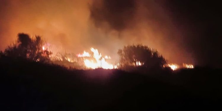 Požar na Hvaru, s vatrenom buktinjom se po olujnoj buri borilo 15 vatrogasaca. Zapovjednik nam otkrio što bi mogao biti uzrok