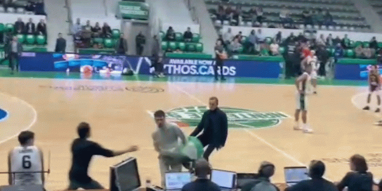 Pro-palestinski aktivisti upadaju na košarkaško igralište tijekom utakmice Izrael-Francuska