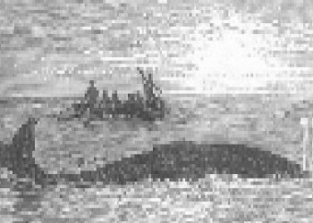 Ranger Finance cilja na kripto perps trgovce ‘veličine’ na Solani (SOL)