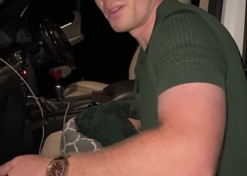 Robert Irwin izluđuje obožavatelje dok pokazuje svoje mišićave ruke dok spašava kornjaču s autoceste