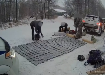 Ruski policajci uhvatili 260 kg kavijara u hapšenju krivolova (VIDEO) — RT Rusija i bivši Sovjetski Savez