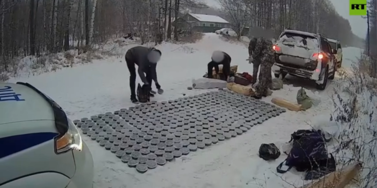 Ruski policajci uhvatili 260 kg kavijara u hapšenju krivolova (VIDEO) — RT Rusija i bivši Sovjetski Savez