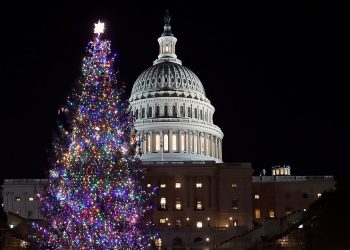 Ružni džemperi, pileća juha, potraga za blagom: Zastupnici dijele svoje omiljene božićne tradicije