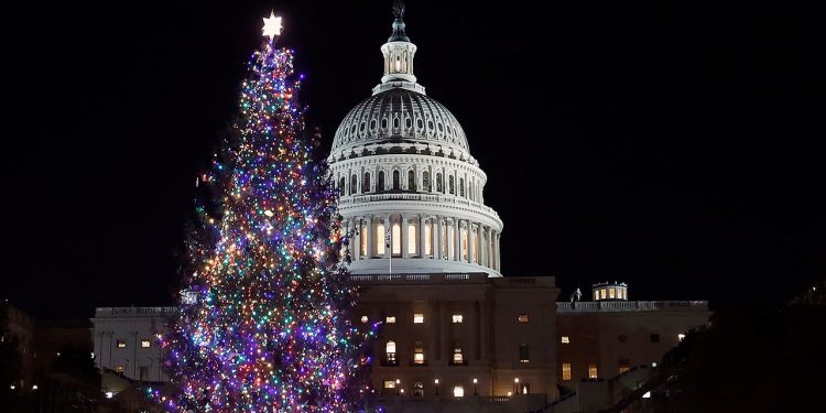 Ružni džemperi, pileća juha, potraga za blagom: Zastupnici dijele svoje omiljene božićne tradicije