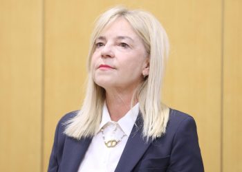 SPORNA RODNA IDEOLOGIJA Josić iz DP-a najavljuje smjenu dječje pravobraniteljice, kaže da je i HDZ za | NACIONAL.HR