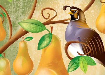 Skupa pjesma: Darivanje ’12 dana Božića’ bilježi sveukupni porast u 2024