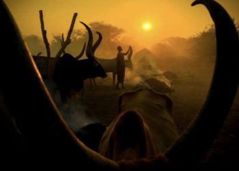 Splitski fotograf dobio još jedno vrijedno priznanje: “Moram biti ponosan!”