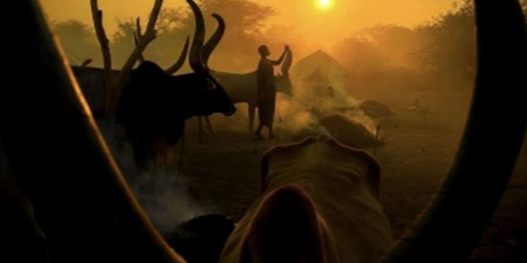 Splitski fotograf dobio još jedno vrijedno priznanje: “Moram biti ponosan!”