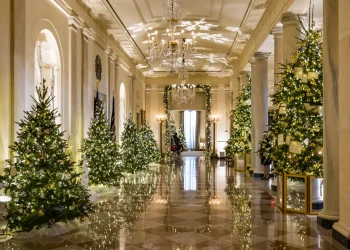 Theodore Roosevelt nije izložio božićno drvce Bijele kuće dok je bio na dužnosti, ali zašto?