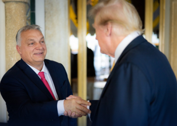 Trumpov tim proučava Orbanovu inicijativu za prekid vatre — RT World News