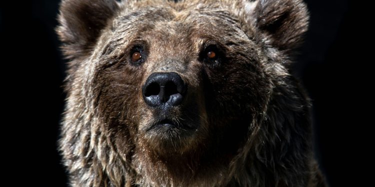 Vjerojatno više boli, kaže tržišni stručnjak nakon gubitka cijene Bitcoina od 8%.