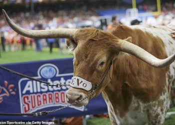 Zašto je kultna maskota Texas Longhornsa zabranjena u njihovom velikom okršaju za titulu
