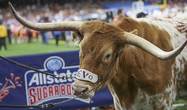Zašto je kultna maskota Texas Longhornsa zabranjena u njihovom velikom okršaju za titulu